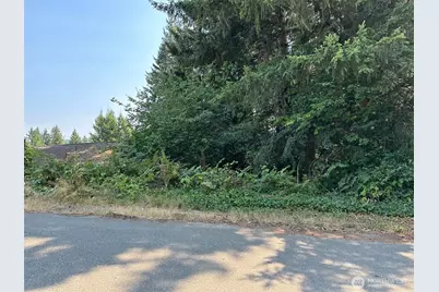 0 Lot 28 NE Wanda Court, Belfair, WA 98528 - Photo 4