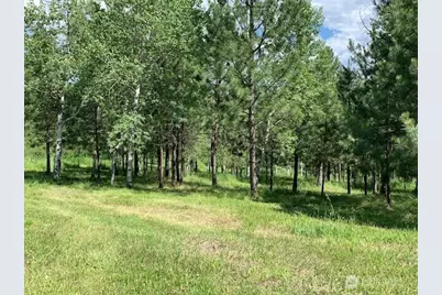 35 Low Ridge Road, Malo, WA 99150 - Photo 32
