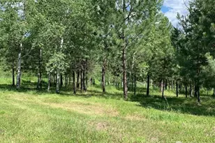 35 Low Ridge Rd, Malo, WA 99150 - Photo 32