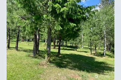 35 Low Ridge Road, Malo, WA 99150 - Photo 32