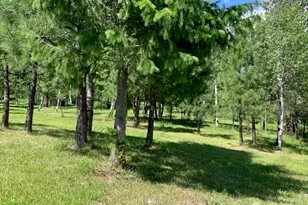 35 Low Ridge Rd, Malo, WA 99150 - Photo 32