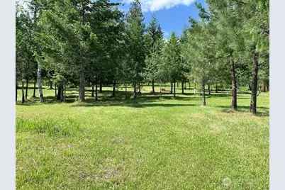 35 Low Ridge Road, Malo, WA 99150 - Photo 30