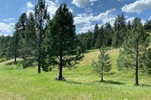 35 Low Ridge Rd, Malo, WA 99150 - Photo 30