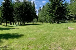 35 Low Ridge Rd, Malo, WA 99150 - Photo 34