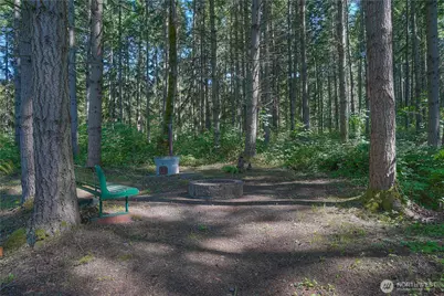 32408 146th Avenue E, Graham, WA 98338 - Photo 38