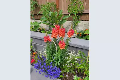 17715 2nd Avenue W, Bothell, WA 98012 - Photo 34