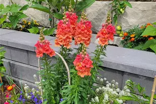 17715 2nd Ave W, Bothell, WA 98012 - Photo 34