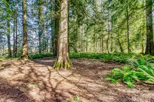 38805 258th Ave SE, Enumclaw, WA 98022 - Photo 34