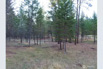 0 Toroda Creek Road, Curlew, WA 99118 - Photo 16