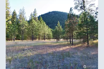 0 Toroda Creek Road, Curlew, WA 99118 - Photo 8