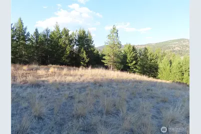 0 Toroda Creek Road, Curlew, WA 99118 - Photo 26