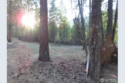 0 Toroda Creek Road, Curlew, WA 99118 - Photo 24