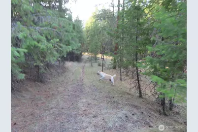 0 Toroda Creek Road, Curlew, WA 99118 - Photo 22