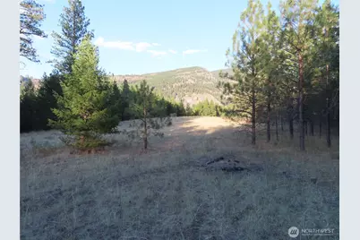 0 Toroda Creek Road, Curlew, WA 99118 - Photo 20