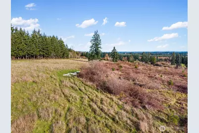 0 Xxx Hale Road, Winlock, WA 98596 - Photo 24