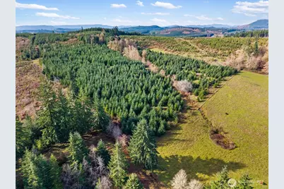 0 Xxx Hale Road, Winlock, WA 98596 - Photo 20