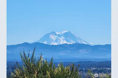 0 Xxx Hale Road, Winlock, WA 98596 - Photo 2