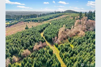 0 Xxx Hale Road, Winlock, WA 98596 - Photo 12