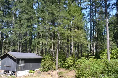 80 NE Collins Drive E, Tahuya, WA 98588 - Photo 2