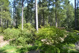 80 NE Collins Dr E, Tahuya, WA 98588 - Photo 4