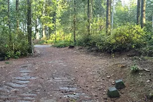 80 NE Collins Dr E, Tahuya, WA 98588 - Photo 6