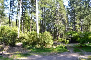 80 NE Collins Dr E, Tahuya, WA 98588 - Photo 12