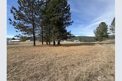 0 Lot 55 Heron Loop Road, Republic, WA 99166 - Photo 8