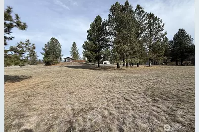 0 Lot 55 Heron Loop Road, Republic, WA 99166 - Photo 6