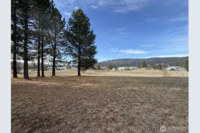 0 Lot 55 Heron Loop Road, Republic, WA 99166 - Photo 2