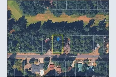 11005 Pioneer Drive, Anderson Island, WA 98303 - Photo 6