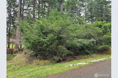 11005 Pioneer Drive, Anderson Island, WA 98303 - Photo 2