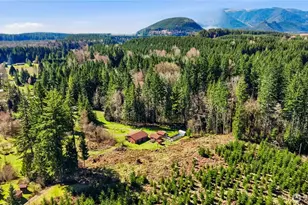 706 Falls Rd, Randle, WA 98377 - Photo 38