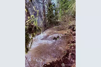 706 Falls Road #35, Randle, WA 98377 - Photo 36