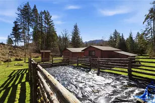 706 Falls Rd, Randle, WA 98377 - Photo 30