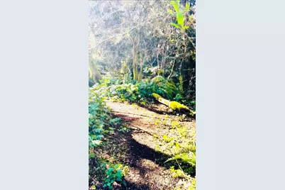 706 Falls Road #35, Randle, WA 98377 - Photo 32