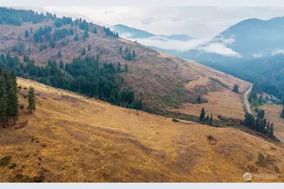 361 Lone Ranch Creek Rd, Danville, WA 99121 - Photo 28