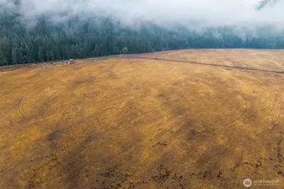 361 Lone Ranch Creek Rd, Danville, WA 99121 - Photo 4