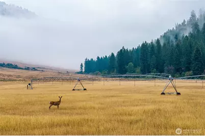 361 Lone Ranch Creek Rd, Danville, WA 99121 - Photo 6