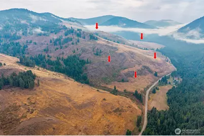 361 Lone Ranch Creek Rd, Danville, WA 99121 - Photo 32