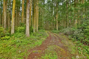 0 Xxx Mutiny Bay Rd, Freeland, WA 98249 - Photo 1