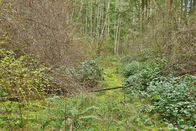 0 Xxx Mutiny Bay Road, Freeland, WA 98249 - Photo 10