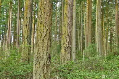 0 Xxx Mutiny Bay Road, Freeland, WA 98249 - Photo 6