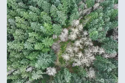 0 Xxx Mutiny Bay Road, Freeland, WA 98249 - Photo 26