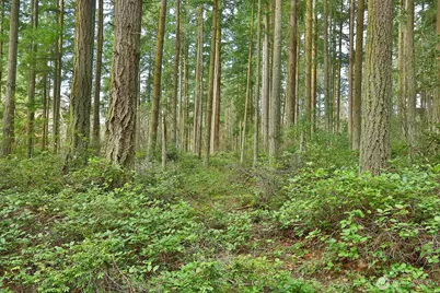 0 Xxx Mutiny Bay Road, Freeland, WA 98249 - Photo 8