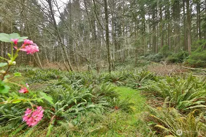 0 Xxx Mutiny Bay Road, Freeland, WA 98249 - Photo 12