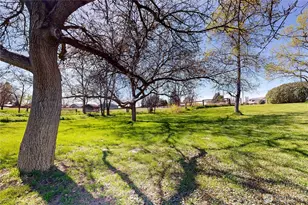 457 Prospect Ave, Walla Walla, WA 99362 - Photo 36