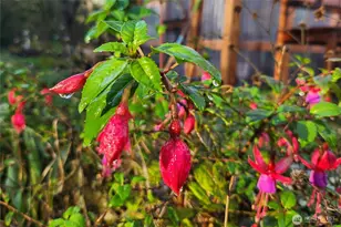 6013 98th St NW, Marysville, WA 98271 - Photo 40