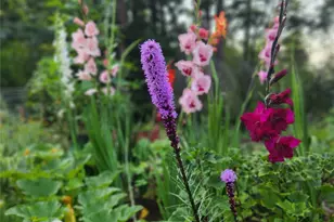 6013 98th St NW, Marysville, WA 98271 - Photo 38