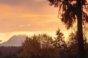 1546 Reservation Road SE, Olympia, WA 98513 - Photo 34