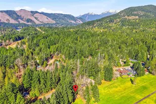 361 N Duckabush Dr E, Hoodsport, WA 98548 - Photo 34